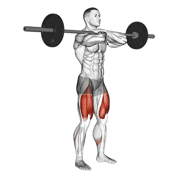 Illustration on how to do the Front Squat