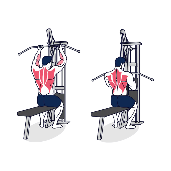 An illustration on how to do the Reverse-Grip Pulldown