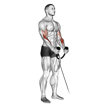 A man showing how to do Rope Cable Curl