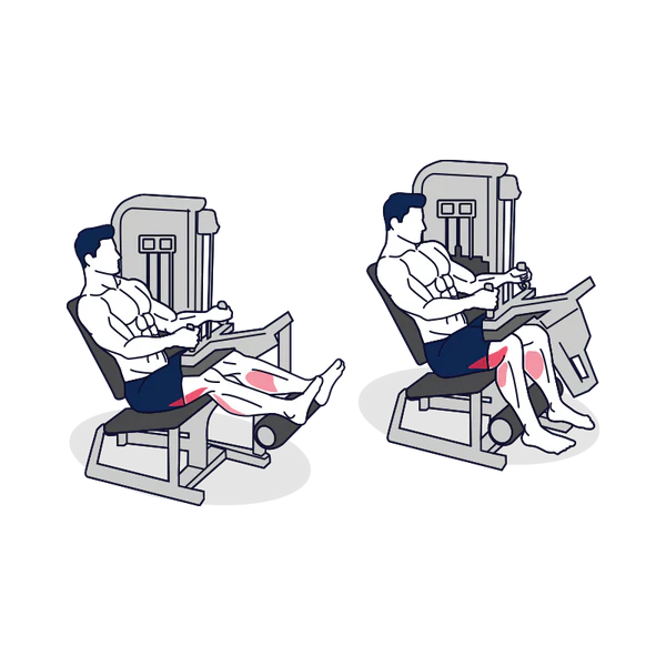 Man showing how to do a Seated Leg Curl