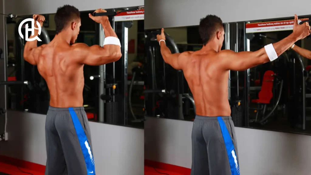Shirtless guy training arms.